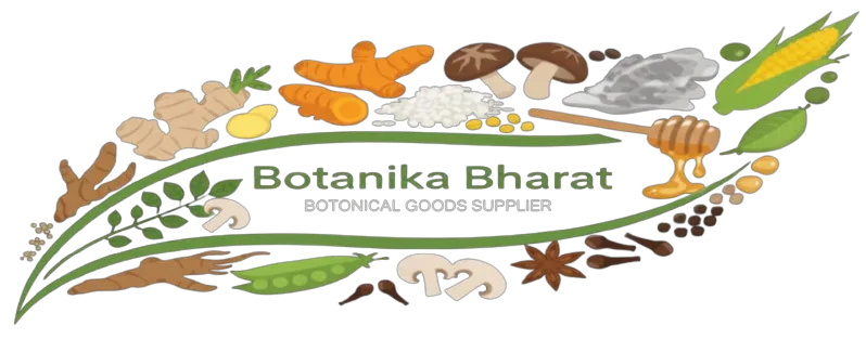 Botanika Bharat LLP Spices Herbs Ashwagandha Turmeric Oleoresins Essential Oils Bulk Spice Exporter Wholesale India