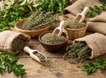 Thyme | Botanika Bharat LLP Spices Herbs Ashwagandha Turmeric Oleoresins Essential Oils Rice Bulk Spice Exporter Wholesale India